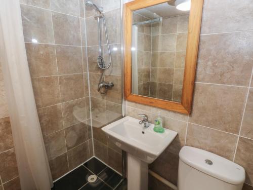 a bathroom with a shower and a toilet and a sink at Cabin No 2 - Salt and Fern Cabins in Port Talbot