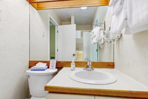 a bathroom with a sink and a toilet and a mirror at Seasons 309 in Warren