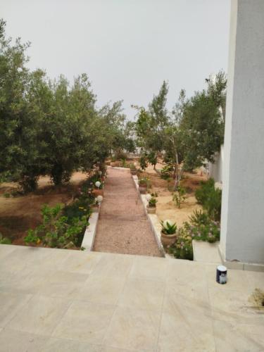 Tawfik
