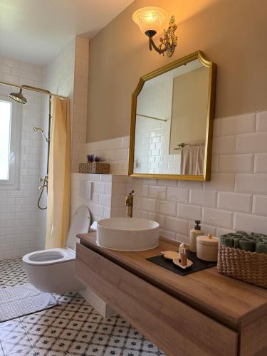 a bathroom with a sink and a toilet and a mirror at Casa del Sole in Dangio