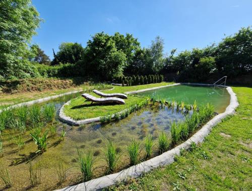 a garden with a pond in the middle at Ferienwohnung am See Dillich - Schwimmteich - Eigener Garten - Ruhige Lage - Hunde willkommen in Borken