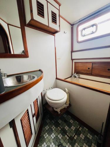 a small bathroom with a toilet and a sink at Nuit de quiétude sur un bateau et dans l'eau in Condrieu
