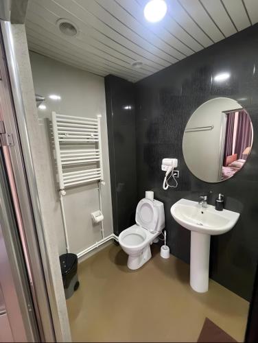 a bathroom with a toilet and a sink and a mirror at DownTown Guest House in Vanadzor
