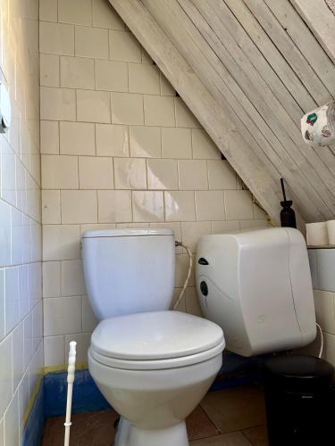 a bathroom with a white toilet in a attic at Skruzdėlynas in Nida