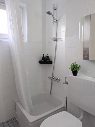 a white bathroom with a toilet and a shower at MeLou FeWo NaturQuartier Wellness in Bad Lauterberg