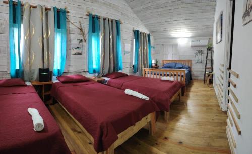 a room with three beds and blue curtains at Hotel Tierra Verde in Bocas Town