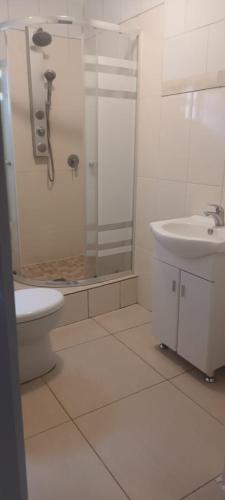 a bathroom with a shower and a toilet and a sink at Melos Cosy Retreat in Ezulwini