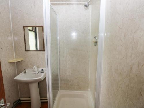 a bathroom with a shower and a sink at Cabin No 13 - Salt and Fern Cabins in Port Talbot