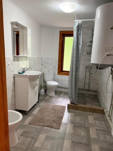 a bathroom with a sink and a toilet and a shower at KarpatskeDzerelo in Roztoky