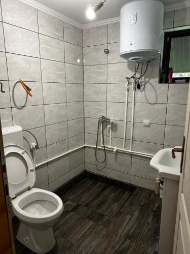 a bathroom with a toilet and a shower and a sink at Ivanovo Polje Chalet in Pljevlja