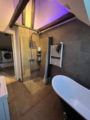 a bathroom with a shower and a toilet and a sink at patriciervilla i 2plan udlejes in Hjørring