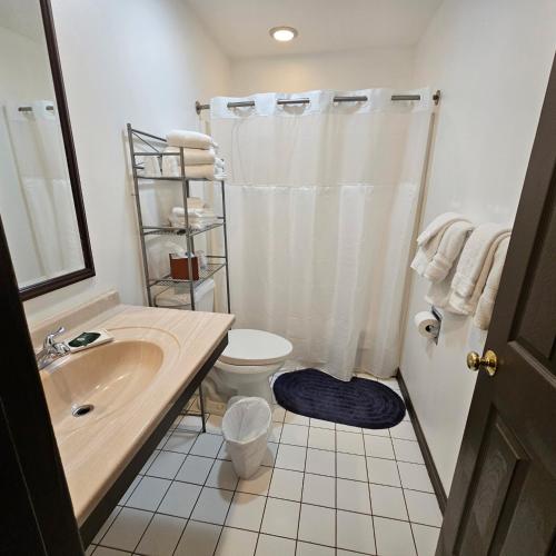 a bathroom with a sink and a toilet and a shower at The Coolin Motel in Coolin