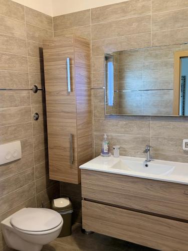 a bathroom with a toilet and a sink at Apartman Aloe in Mali Lošinj
