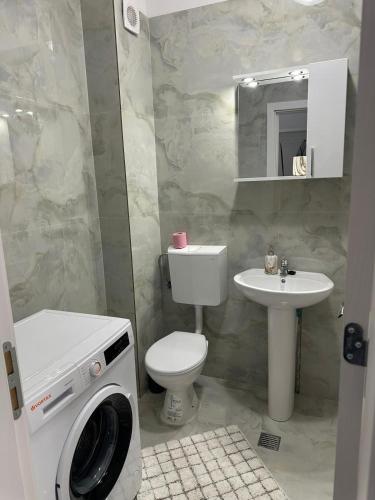 a bathroom with a toilet and a sink and a washing machine at Apartment complex in Roşu