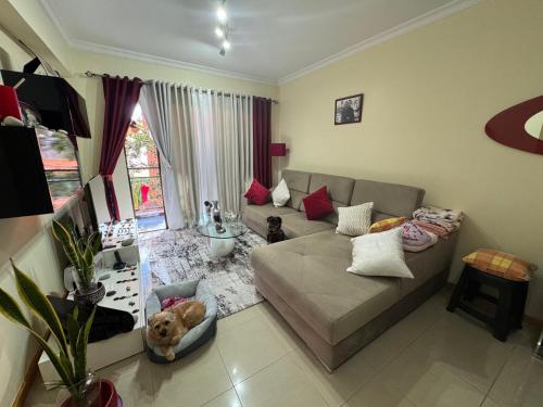 a living room with a gray couch and a window at Cozy Ensuite Room Near Funchal Center WiFi in Funchal