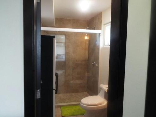 a bathroom with a shower with a toilet and a sink at Puerta diamante acapulco in Acapulco