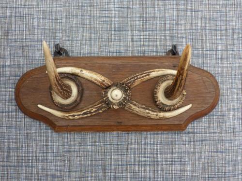 a wooden holder with an animal head on a table at FeWo Marielle in Seeboden