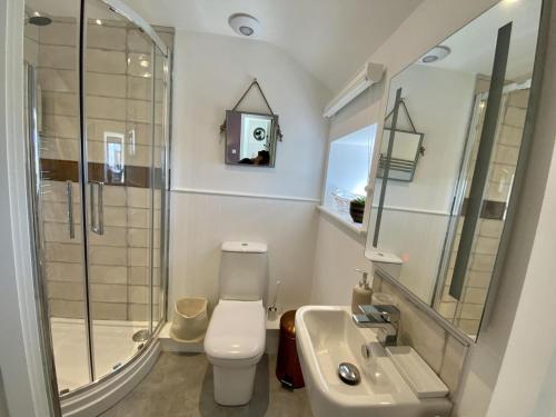 a bathroom with a toilet and a sink and a shower at Red Herring in Craster