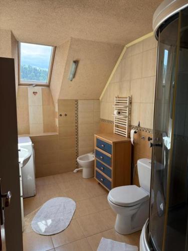 a bathroom with a toilet and a sink at Pokoje Przy Szlaku Agroturystyka in Żabnica