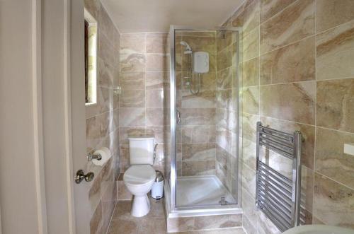 a bathroom with a toilet and a walk in shower at 1 Bed in Llanrwst oc-wag232 in Llanrwst