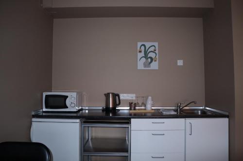 a kitchen with a sink and a microwave at Blue Viking Studios in Keflavík