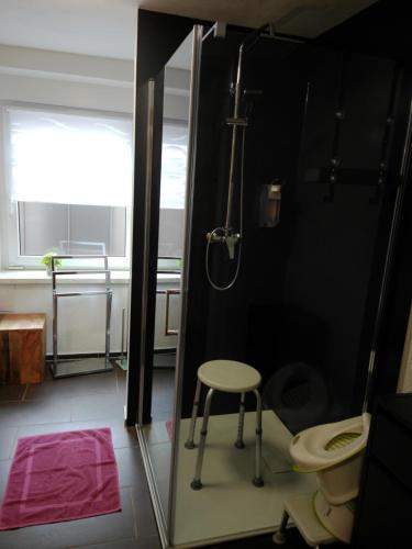 a bathroom with a shower with a stool and a toilet at Ferienhaus Fichtelberg in Kurort Oberwiesenthal