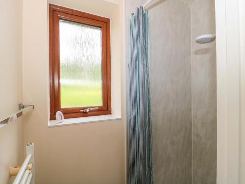 a bathroom with a shower and a window at Orchard Cottage in Ledbury