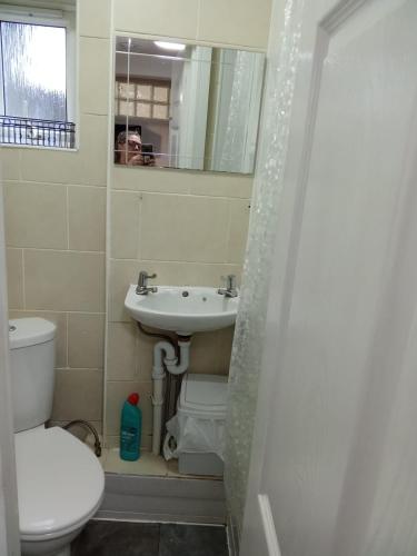 a bathroom with a sink and a toilet and a mirror at Swannery Vista 1 Bedroom Apartment in Weymouth