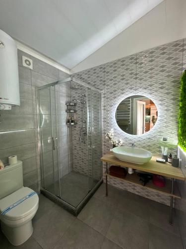 a bathroom with a shower and a sink and a toilet at Cottage RoKSa 2 з басейном in Slavske