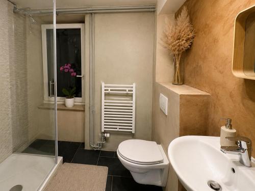 a bathroom with a toilet and a sink and a shower at Studio yvonand in Yvonand