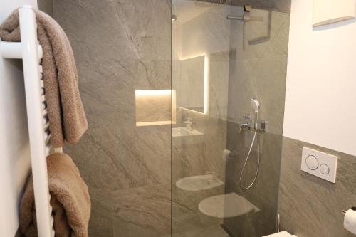 a bathroom with a shower with a glass door at Apartments Silvonia in Pallua