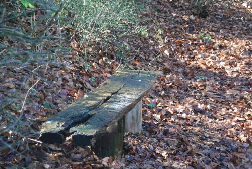a wooden bench sitting in a pile of leaves at De Hagmolenbeek Boekelo in Boekelo