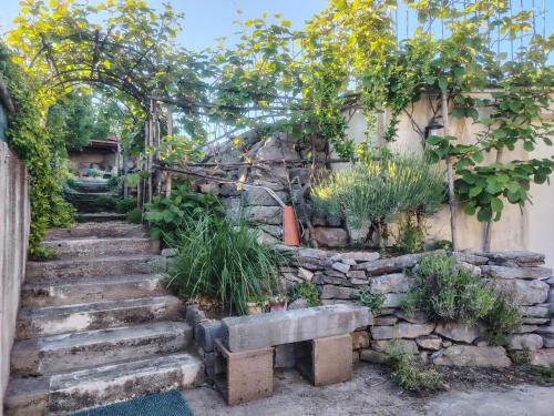 Foto VILLA SALVIA - Holiday house with pool - 4