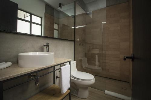 a bathroom with a sink and a toilet and a shower at Casa Alfredo in Mexico City