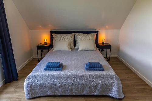 a bedroom with a bed with two blue pillows on it at Domki Śluza 23 in Dywan