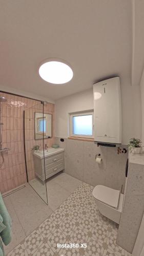 a bathroom with a shower and a toilet and a sink at Domki Śluza 23 in Dywan