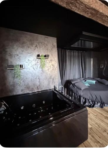 ein Schlafzimmer mit Bett und Badewanne in der Unterkunft Loveroom agathoise in Agde