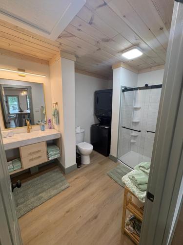 a bathroom with a sink and a toilet and a shower at The Hideaway at Wolf Creek in Nancy
