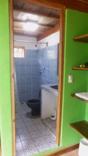 a bathroom with a toilet and a green wall at Hostal Flor de Pochote in Masatepe