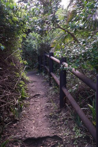 a dirt trail with a fence on the side at Sole's Leap in Scottburgh