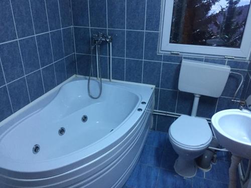 a bathroom with a tub and a toilet and a sink at Cabana Atlas in Straja