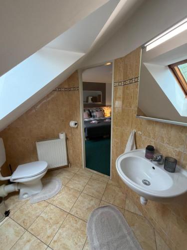 a bathroom with a toilet a sink and a mirror at Penzion Amfik in Mikulov