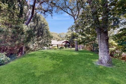 a yard with a tree and a house at The CAVU Mansion on Bellevue in Oklahoma Heights