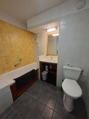 a bathroom with a toilet and a sink and a tub at Le Nid du Sancy - Les Matins du Sancy - Super-Besse in Super Besse