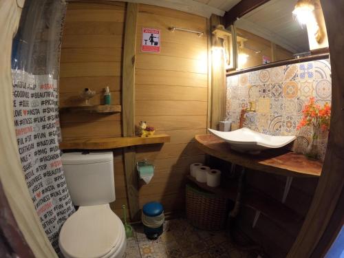 a bathroom with a toilet and a sink at Chalé Cafofo in Campo Alegre