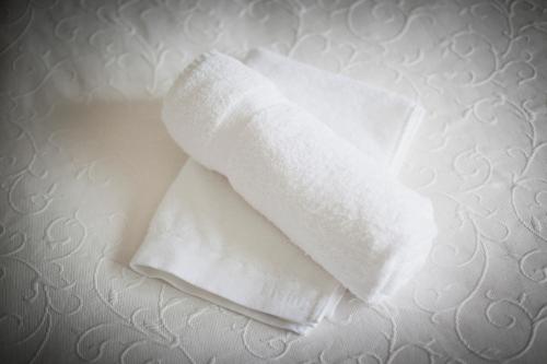 AxvallにあるFredriksons Vilt, Vin & Pensionatの白いタオル