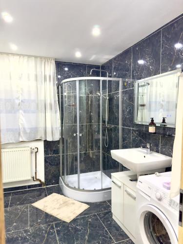 a bathroom with a shower and a toilet and a sink at MIO plus Apartments Sulzbach in Sulzbach