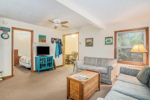 a living room with a couch and a tv at Goshorn Lake's Endless Summer in Saugatuck