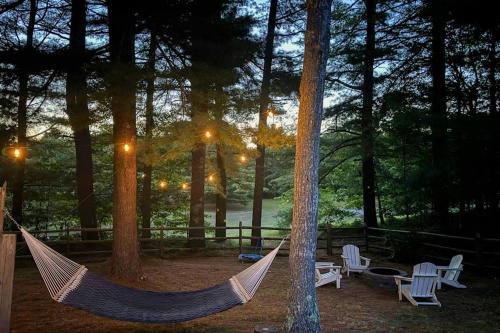 a hammock in the middle of a forest with trees at The Kettle Cottage in Cotuit