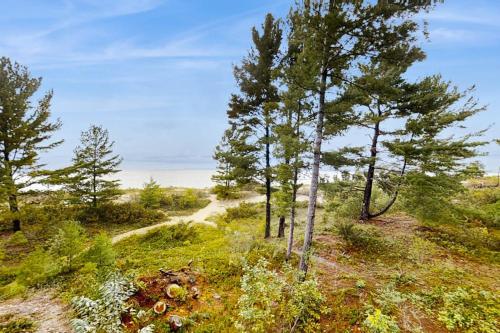 a group of trees on a hill with a trail at Wilderness 9 in Glen Arbor
